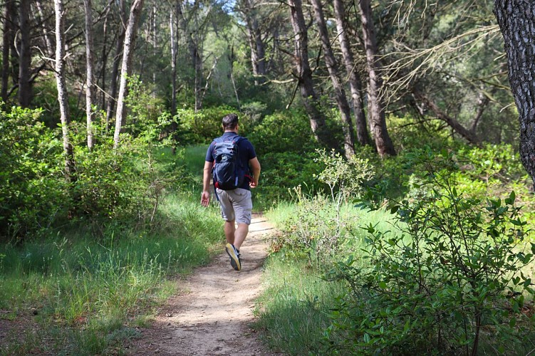 12 / Moussan : Le sentier du Plana