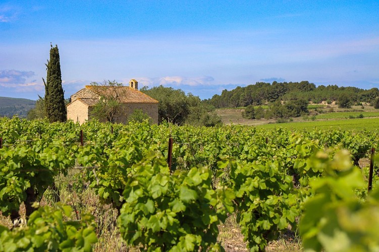 12 / Moussan : Le sentier du Plana