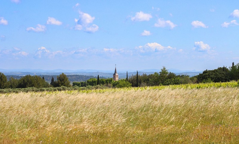 12 / Moussan : Le sentier du Plana