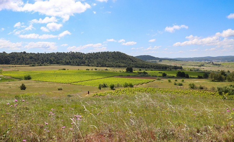 12 / Moussan : Le sentier du Plana