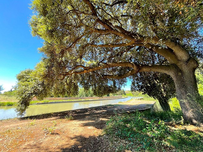 17 / Ventenac en Minervois : Le pont-canal du Répudre