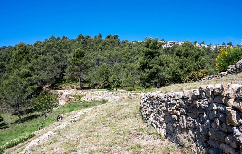 2 / Bize-Minervois : la sentinelle de la cesse