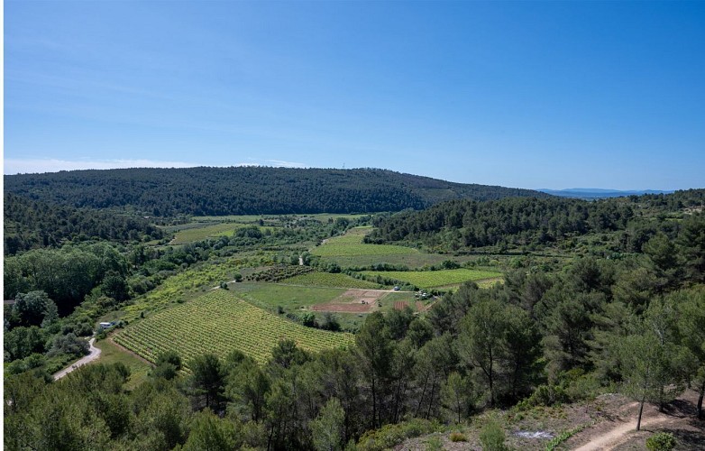 2 / Bize-Minervois : la sentinelle de la cesse