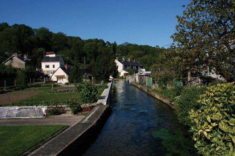 Le petit bois de Saint-Laurent
