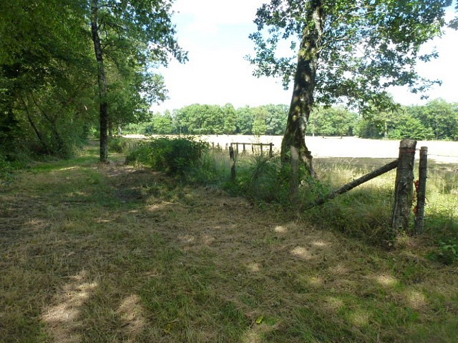 Chemin du muguet aux forges