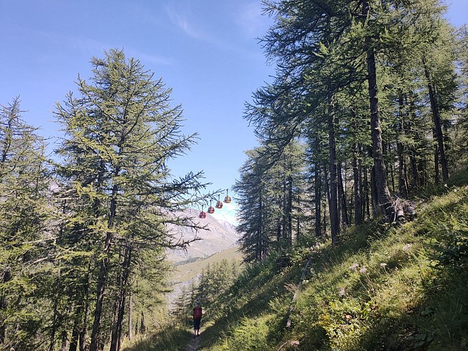 Bois des Fréaux sur le Kilomètre vertical avec les télécabines du téléphérique des glaciers de la Meije