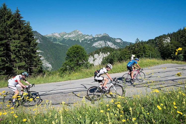 Col du Corbier versant ouest