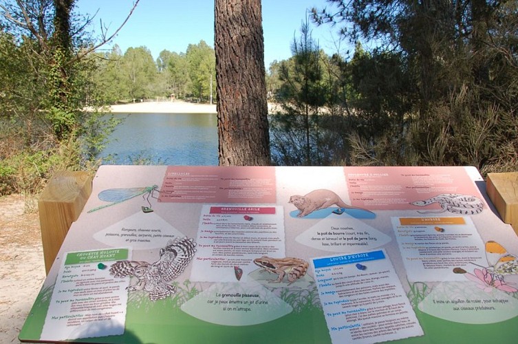 lacs-des-moulins-blancs-lac-de-st-christoly-de-blaye-800x600----blaye-tourisme