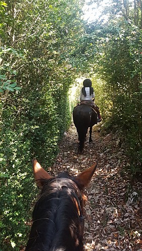 Etape 1 (Difficile) - Du Col de Rousset à Base Nature par la voie romaine et le Col de Chirone