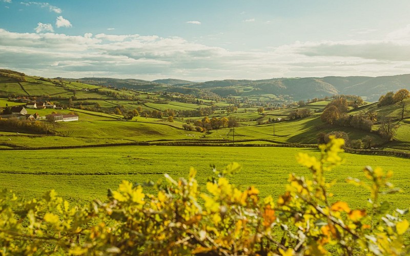 Paysage en contrebas du bois gillot ©Thomas Delphin-min