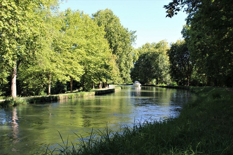 Balade urbaine - Moissac, au fil de l'eau