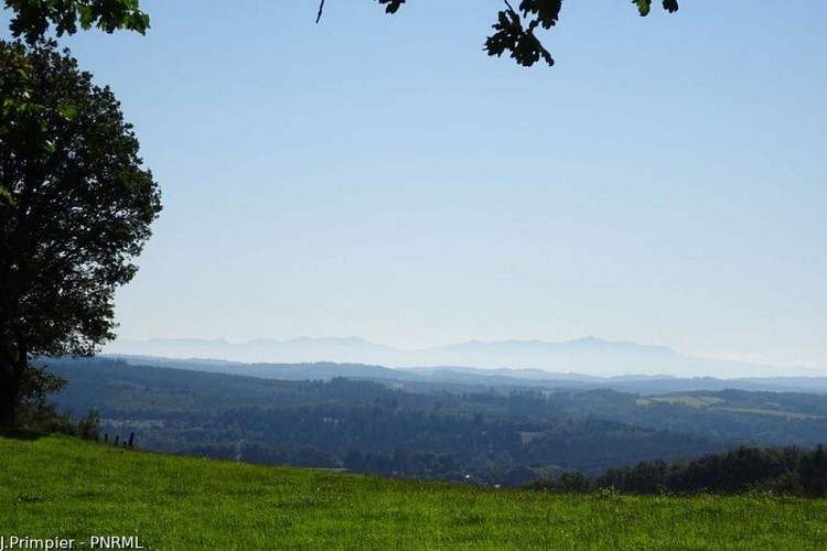 Entre Vienne et Diège