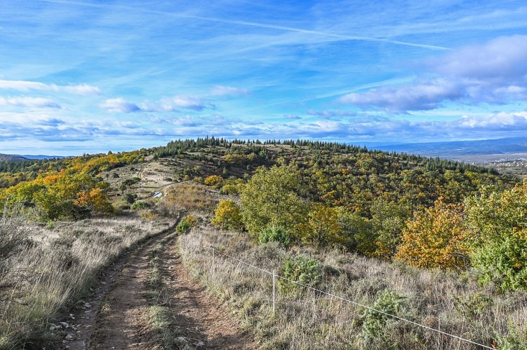 Hiking panorama