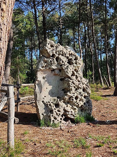 Randonnée pédetre. Mansigné