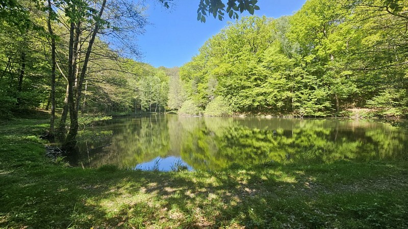 Etang de la Demoiselle