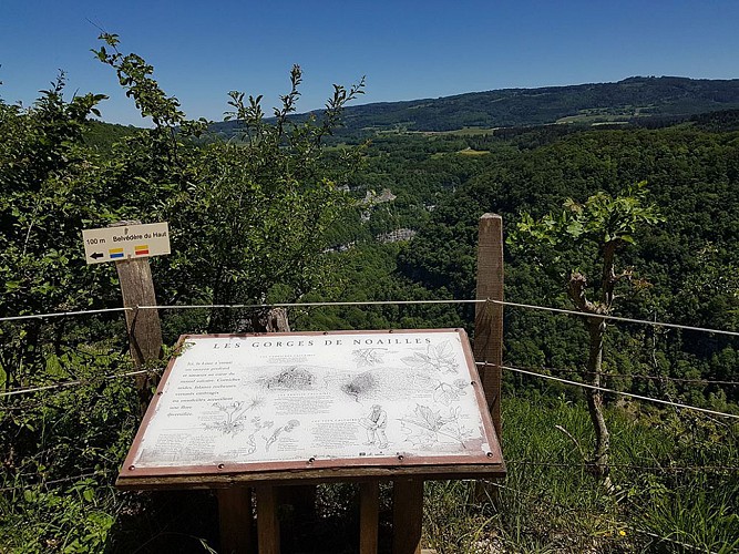 Circuit Courbet C4 – Belvédères et Gorges de Nouailles