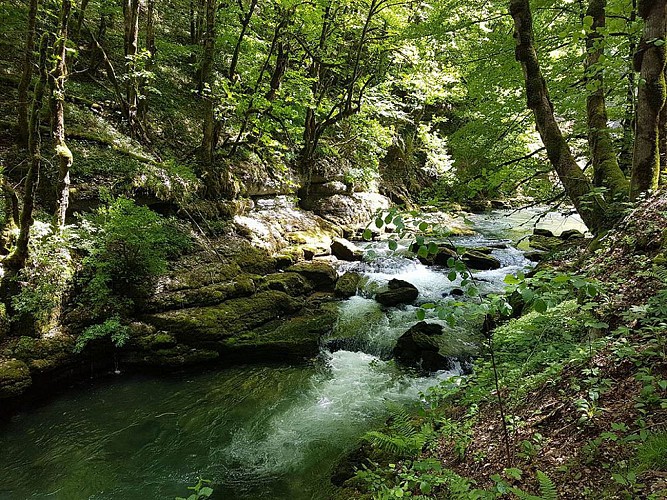 Circuit Courbet C4 – Belvédères et Gorges de Nouailles