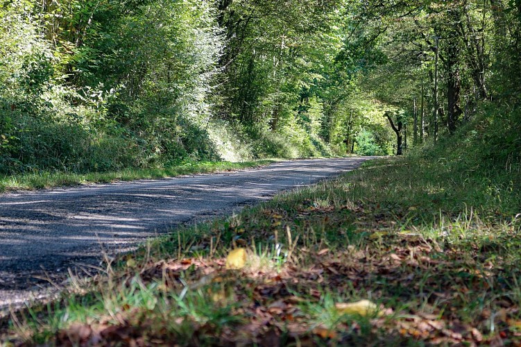 Rundweg zum Etang des Vavres in St André de Corcy