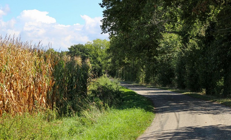 Rundweg zum Etang des Vavres in St André de Corcy