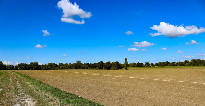 Rundweg zum Etang des Vavres in St André de Corcy