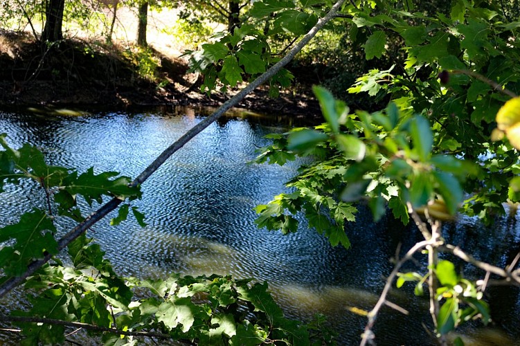 Rundweg zum Etang des Vavres in St André de Corcy