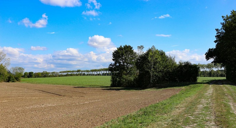 Rundweg zum Etang des Vavres in St André de Corcy