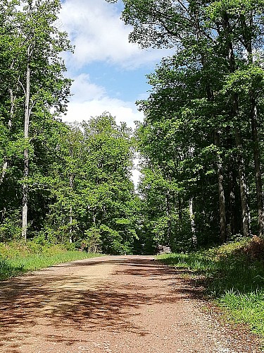 Circuit La boucle des étangs (partie ouest)