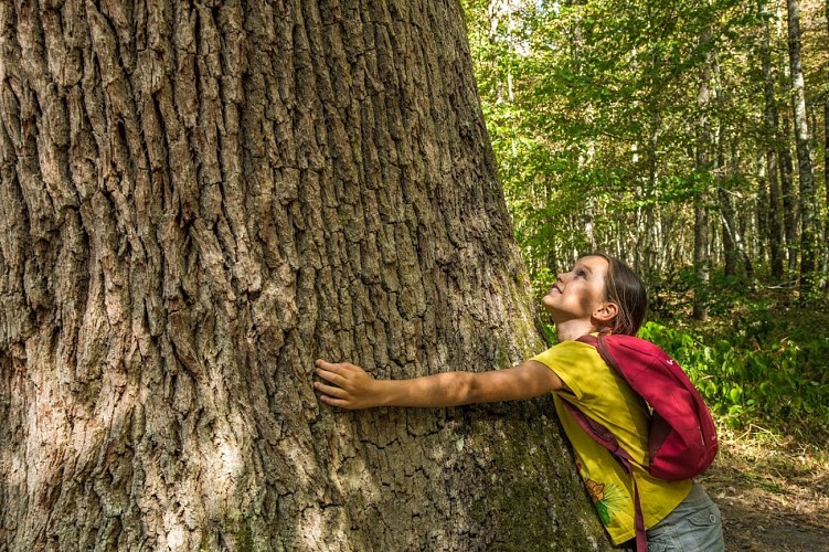 Circuit La boucle des étangs (partie ouest)