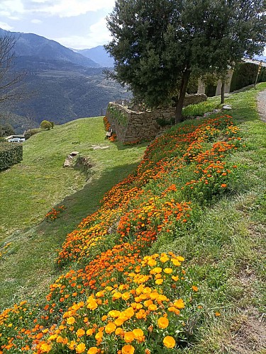 Les couleurs du printemps