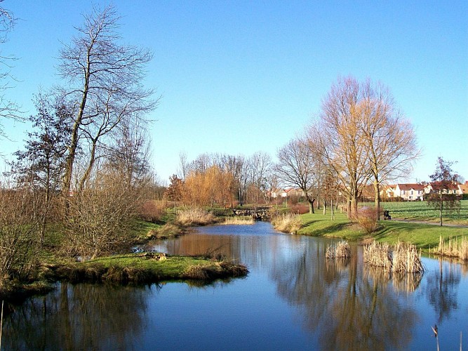 Étangs de Saint-Witz