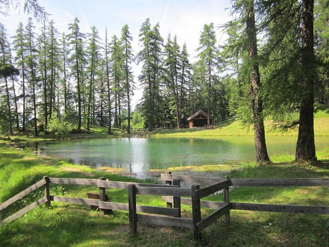 BALADE FAMILLE - JOURNEE / ST JEAN / LA DRAYE