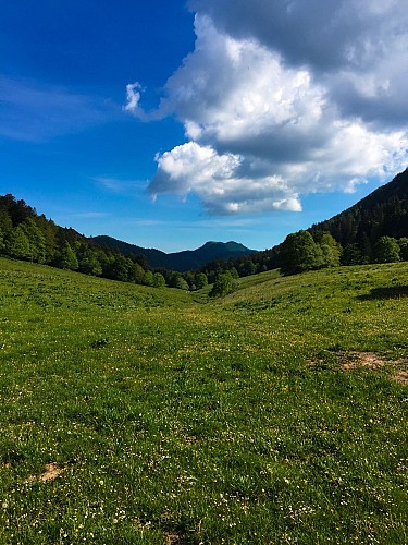 3 day-hike in Jura: hiking trails through Plateau de Retord and Grand Colombier