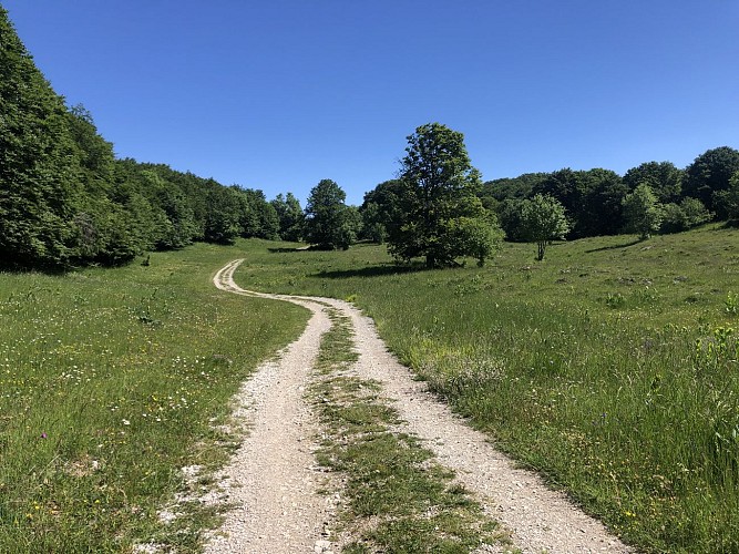 3 day-hike in Jura: hiking trails through Plateau de Retord and Grand Colombier