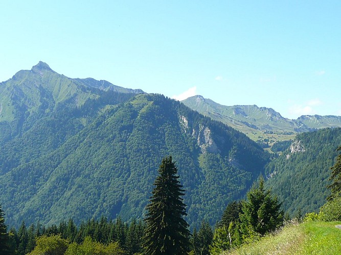 Wandelroute : Plateau van Loëx