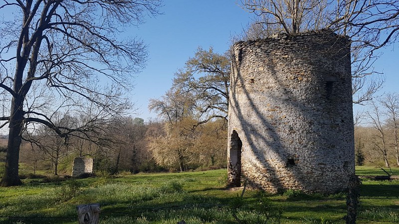 Domaine d'Aiguillon