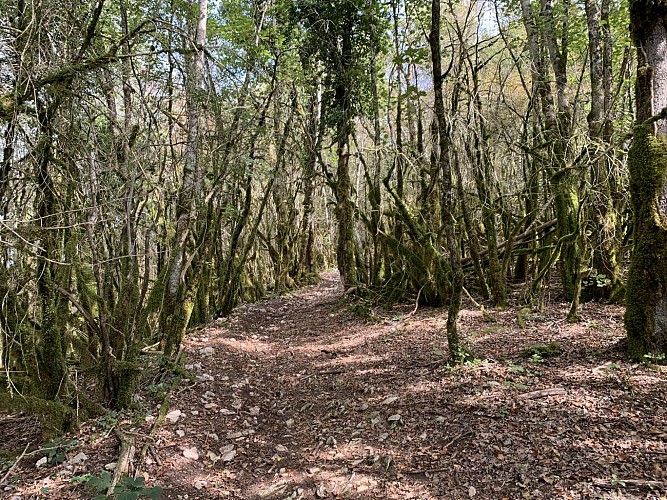 Rando - L'épaulette de Cize-Bolozon