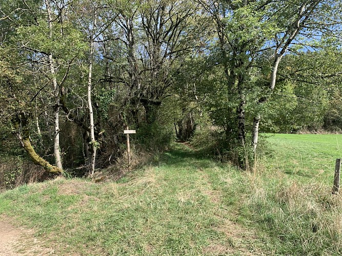 Rando - L'épaulette de Cize-Bolozon