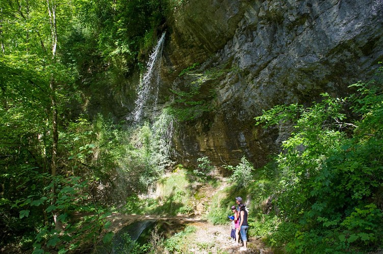 Cascade de Pissevache