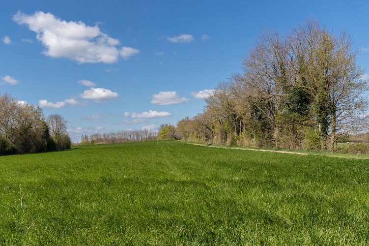 Rundweg zum Teich von Vernange in Monthieux