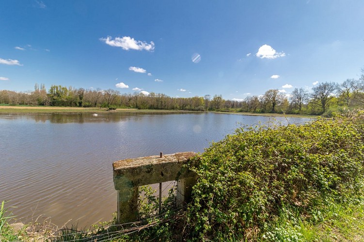 Rundweg zum Teich von Vernange in Monthieux