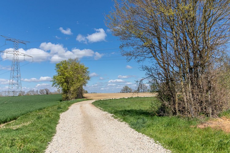 Sendero del estanque de Vernange en Monthieux