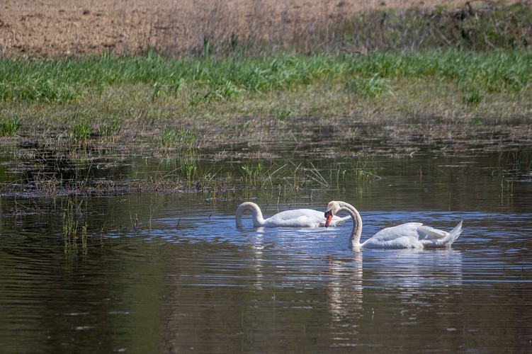 Trilha da lagoa Vernange em Monthieux