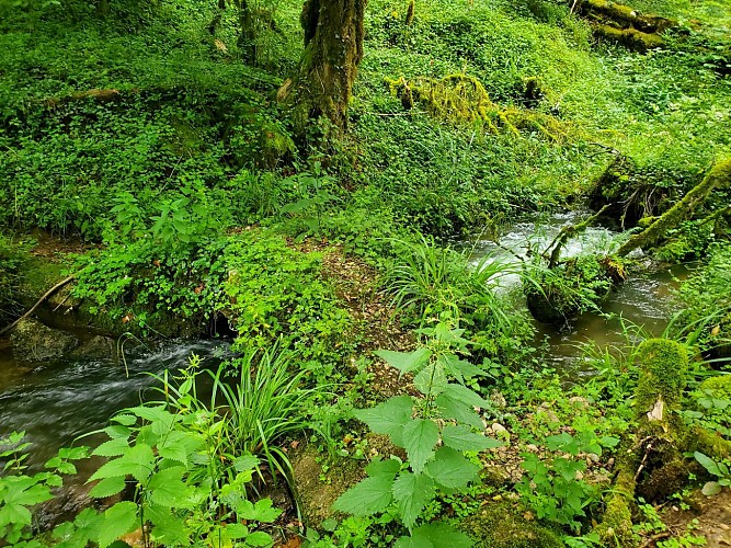 Randonnée - Les deux vallées
