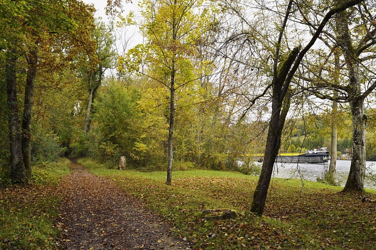 Petit Barbeau trail- Accessible to persons with reduced mobility