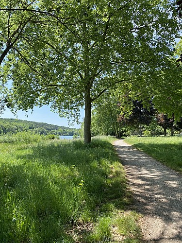 Petit Barbeau trail- Accessible to persons with reduced mobility