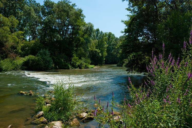 Randonnée pédestre. Le Lude