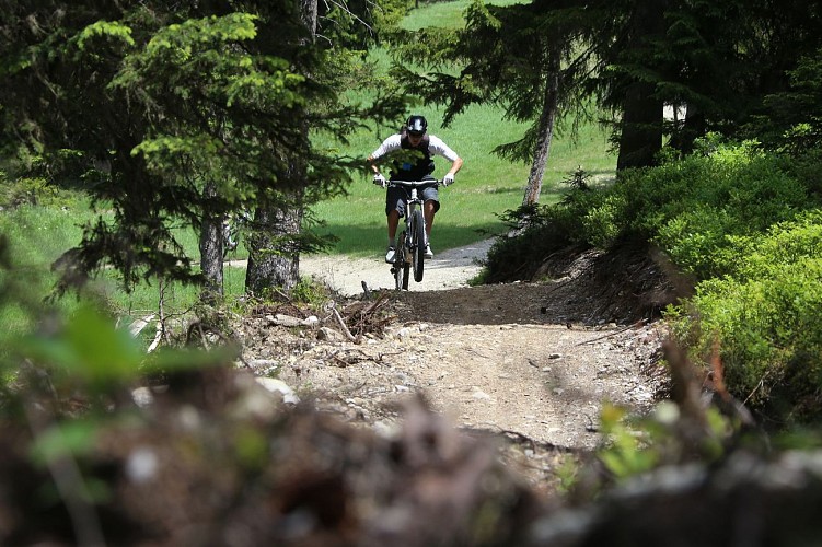 Tour zur Nadel Grive durch die Almen von Peisey-Vallandry und den Bikepark