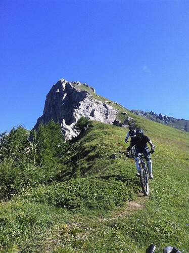 Tour zur Nadel Grive durch die Almen von Peisey-Vallandry und den Bikepark