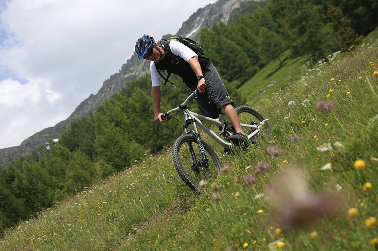 Tour zur Nadel Grive durch die Almen von Peisey-Vallandry und den Bikepark