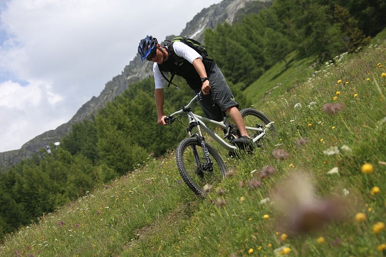 Tour of the Aiguille Grive through the mountain pastures of Peisey-Vallandry and the bike park